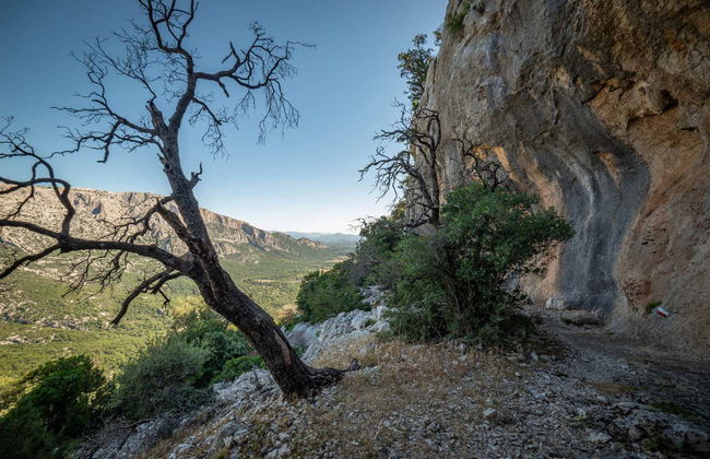 Trekking nel golfo di Orosei - Foto 6