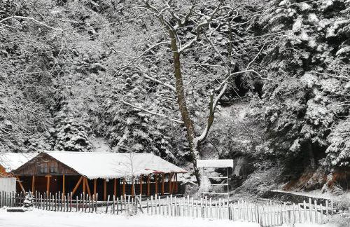 Xenonas Kypseli - Foto 67