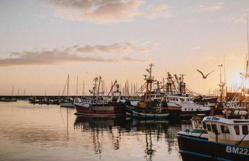 Heathcliff, Coastal Walks and Sea Views - Foto 50