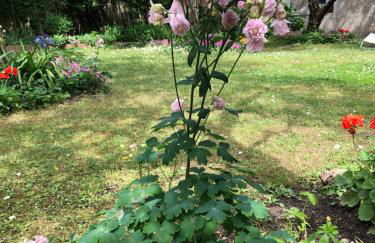 In Riva al Lago di Iseo Residenza Primo Piano - Foto 25