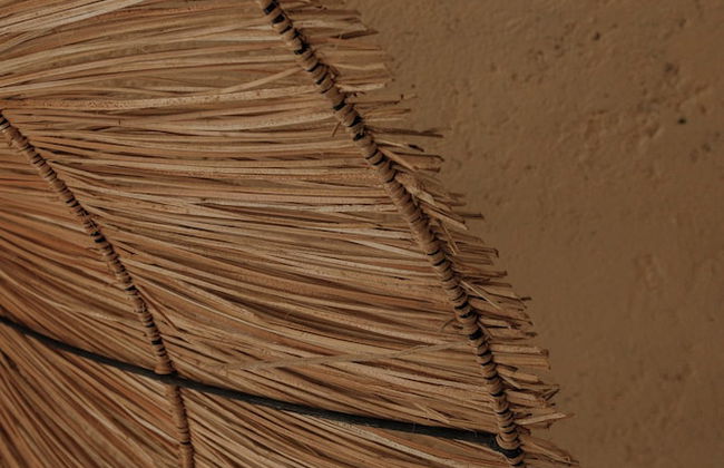 San Marcos Properties - Foto 38