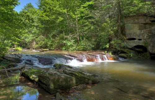 Black Bear Cabin by Carolina Mornings - Foto 4