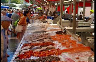 Magnifique studio avec terrasse et jardin - Foto 17