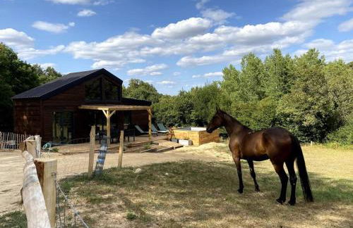 La Cabane du Petit Moulin - Foto 9