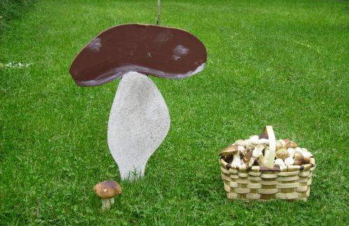 Los Ranchales Vinuesa - Foto 26