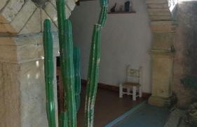 Agriturismo Il Melograno - Foto 50