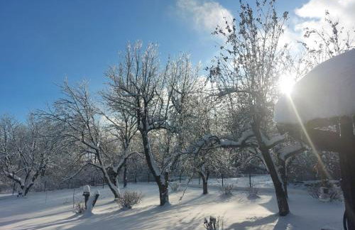 Agroturystka Dom w Owocowym Sadzie - Foto 16