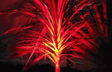 Casa Vitorino - Foto 19