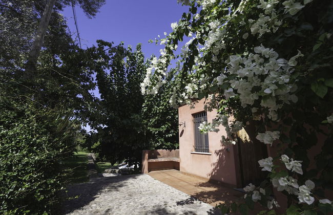 Agricontura - Foto 57