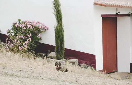 Casas da Faia - Nature Guest House - Foto 53