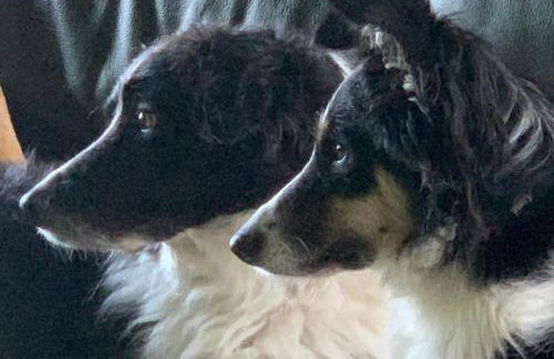 Le Bas Chesnay Gîte Domfront en Poiraie - Foto 65