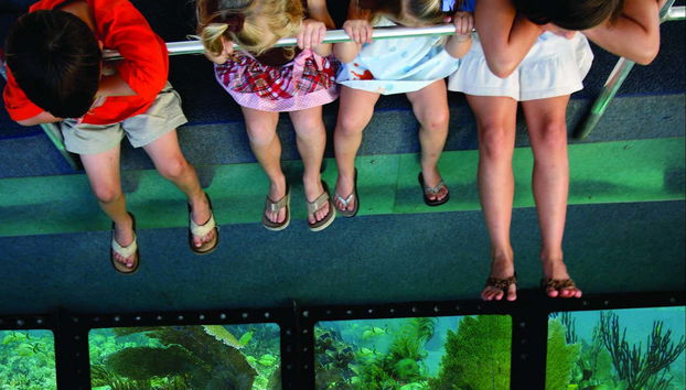 Paseo en barco con fondo de cristal - Foto 5