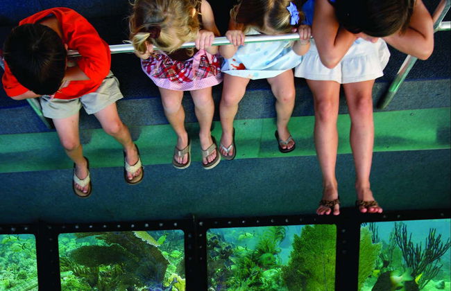 Passeio de barco com chão de vidro - Foto 5