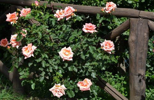 Holiday Home Monte With Pool and Forest Trails - Foto 77