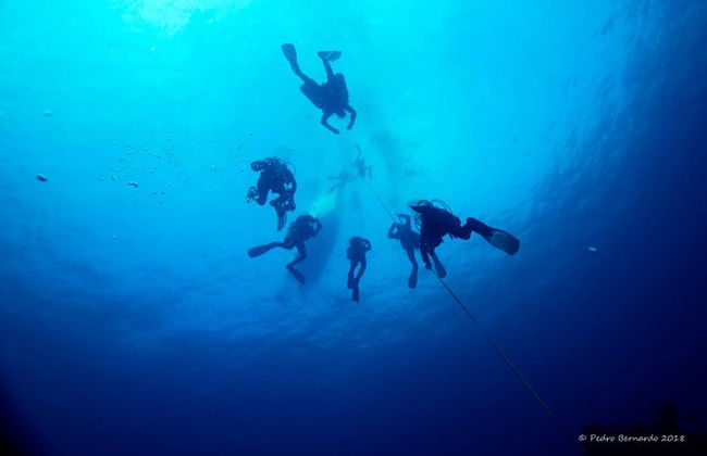 Double plongée dans le fantastique parc Ocean Revival - Photo 6