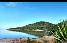 Casa oliveira - Photo 14