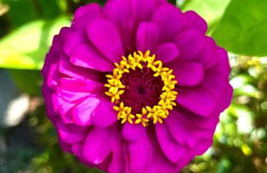 House on the Gwynns Falls - Foto 36