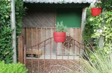 La Desirade - Photo 25