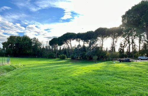 Casale Collecchio Siena - Foto 38