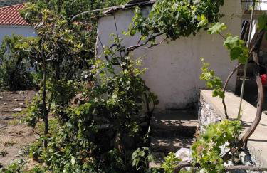 Ikaria - Evdilos village , Katsirifos - Photo 17