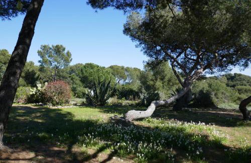 Bel Appartement accès direct mer; L'Almanarre, HYERES - Foto 26