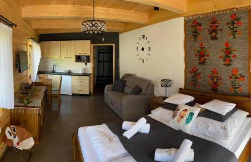 SASÓWKA APARTAMENT - Foto 22