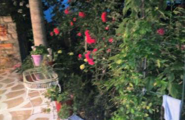 Studio Penelope - Photo 63