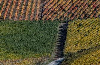 Tomati's House - Foto 35