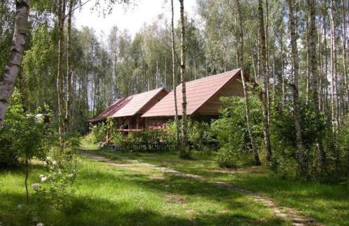 Villa Stare Osieczno - Foto 37