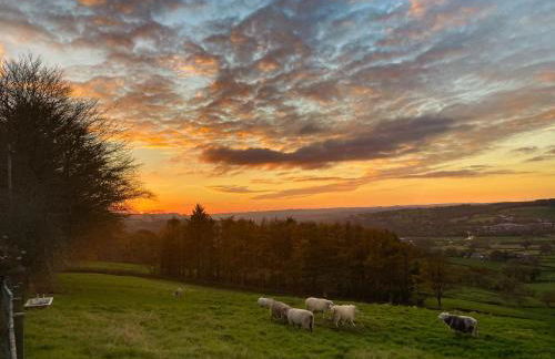 Coedmor Cottages - Foto 23