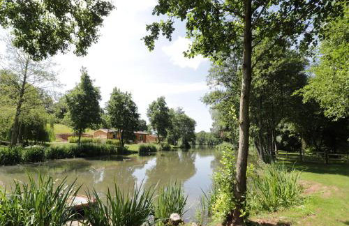 Kingfisher - Foto 22