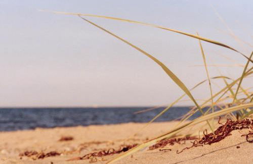Ferienwohnung Kröpelin - Foto 10