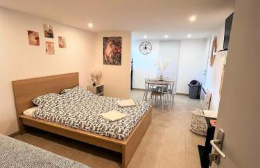 Studio Le Plum'Art, 10mn Zoo de Beauval avec jardin - Foto 10