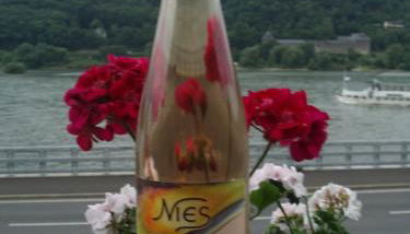 Weingut Theodor Nies - Foto 2