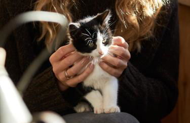 Sotciastel Antico Chalet - Foto 22