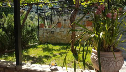HoneyHouse - Photo 2, Garden, Garden view