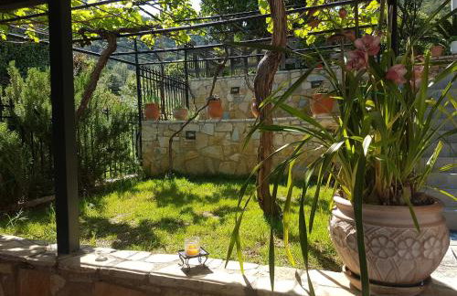 HoneyHouse - Photo 2