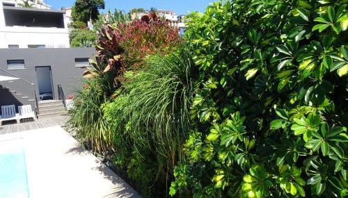 Loreto Luxury - Photo 3, Garden view