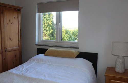 Cartref, 1860s family home. - Foto 14