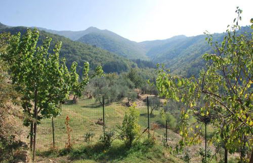 Il Frantoio, Loft rurale, con bbq e giardino in Pontifogno - Foto 13