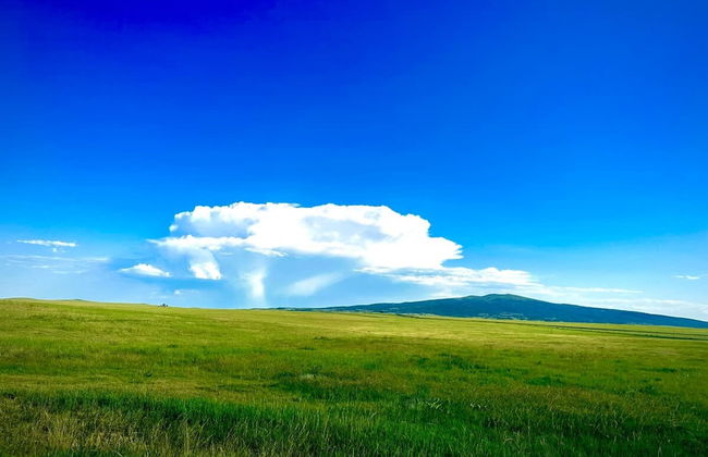 Amazing Historic 1800s Carriage House - Foto 35