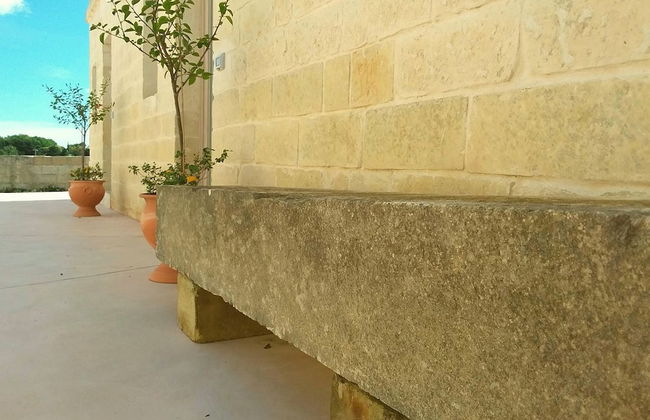 La Trottoria - Photo 26