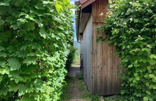 Gîte Au bout des Mynes avec vue panoramique - Foto 4