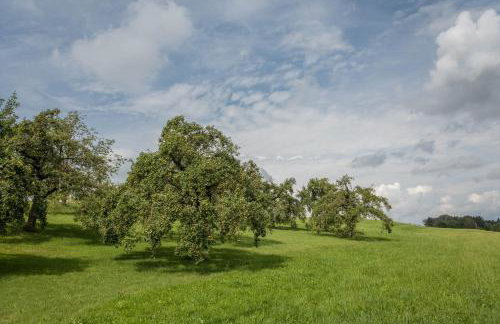 Casa Rindler - Photo 14