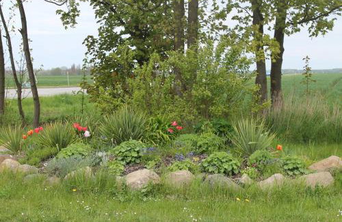 Charmante Ferienwohnung mit Garten in Wiek - Foto 19