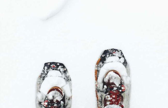 Gather Greene - Foto 9