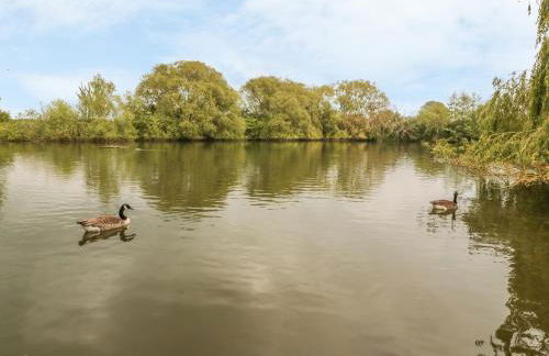 Island Yurt - Foto 13