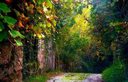 Casa Máximo - Photo 42