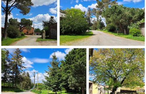 Le P'tit Gîte d'Isa, 15 km du Puy du Fou - Foto 11