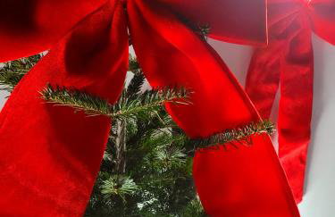 Tatra House z Jacuzzi - Foto 35